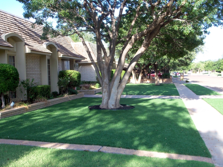 Best Artificial Grass Amado, Arizona Lawn And Garden, Front Yard Landscaping