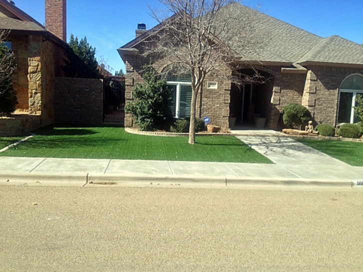 Best Artificial Grass Bagdad, Arizona Roof Top, Front Yard Design