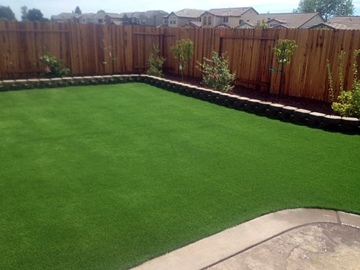 Best Artificial Grass Chiawuli Tak, Arizona Landscaping Business, Backyard Design