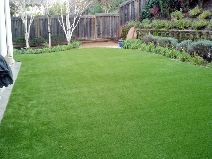 Best Artificial Grass Crozier, Arizona Lawn And Garden, Beautiful Backyards