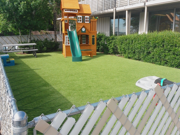 Best Artificial Grass Guadalupe, Arizona Playground Flooring, Beautiful Backyards