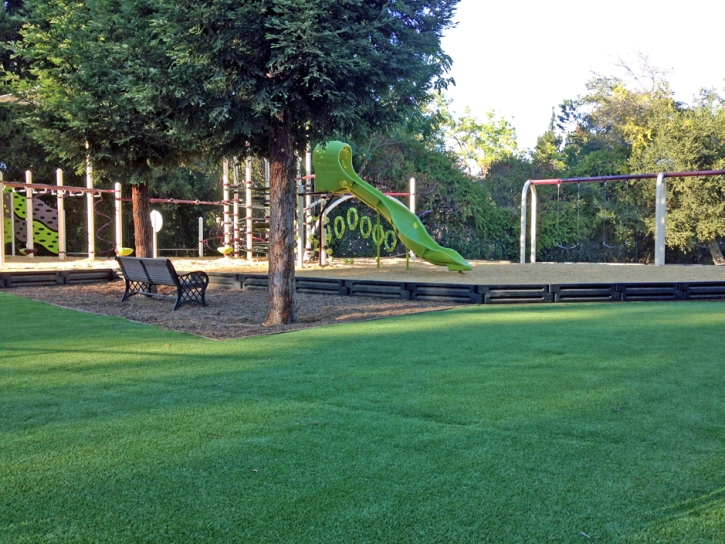 Best Artificial Grass Heber-Overgaard, Arizona Indoor Playground, Recreational Areas
