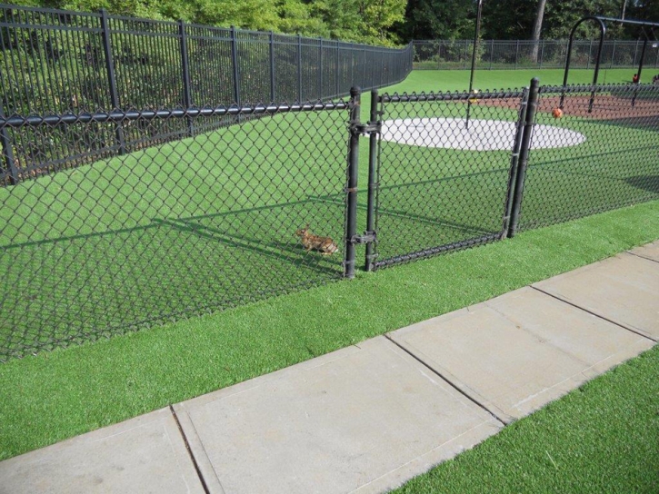 Best Artificial Grass Parks, Arizona Lawns, Parks