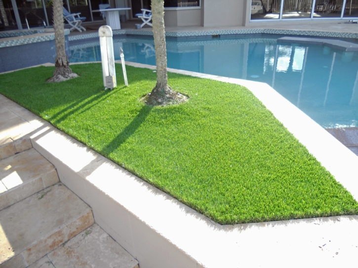 Best Artificial Grass Queen Valley, Arizona Lawn And Garden, Backyard Pool