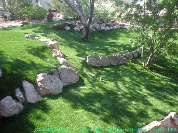 Best Artificial Grass Scottsdale, Arizona Landscape Ideas, Commercial Landscape