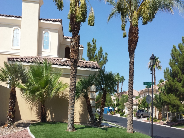 Best Artificial Grass Somerton, Arizona Design Ideas, Front Yard Design