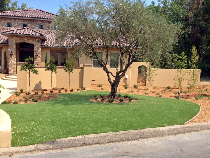 Best Artificial Grass Tucson Estates, Arizona City Landscape, Small Front Yard Landscaping
