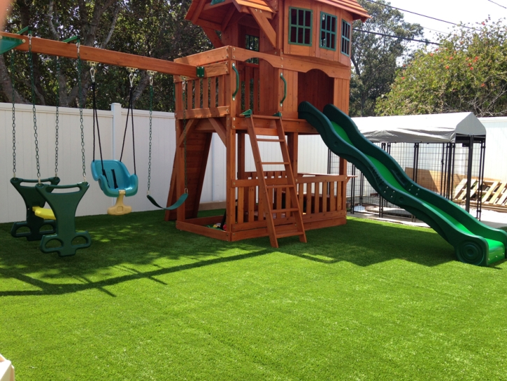 Fake Grass Arivaca, Arizona Kids Indoor Playground, Backyard Design