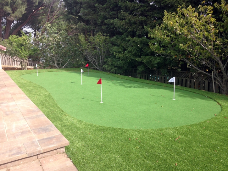 Fake Grass Arizona City, Arizona Indoor Putting Green, Backyard Design