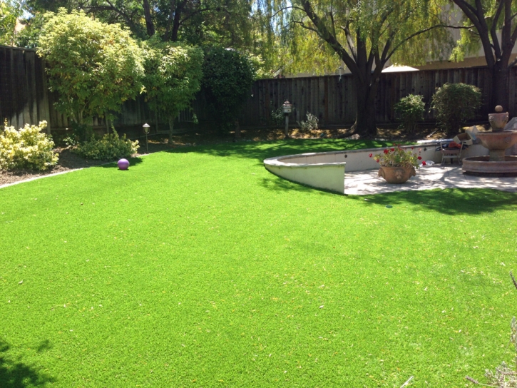 Fake Grass Carpet Ak Chin, Arizona Garden Ideas, Backyard Design