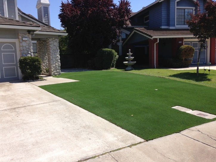 Fake Grass Carpet Ali Chukson, Arizona Lawn And Garden, Landscaping Ideas For Front Yard