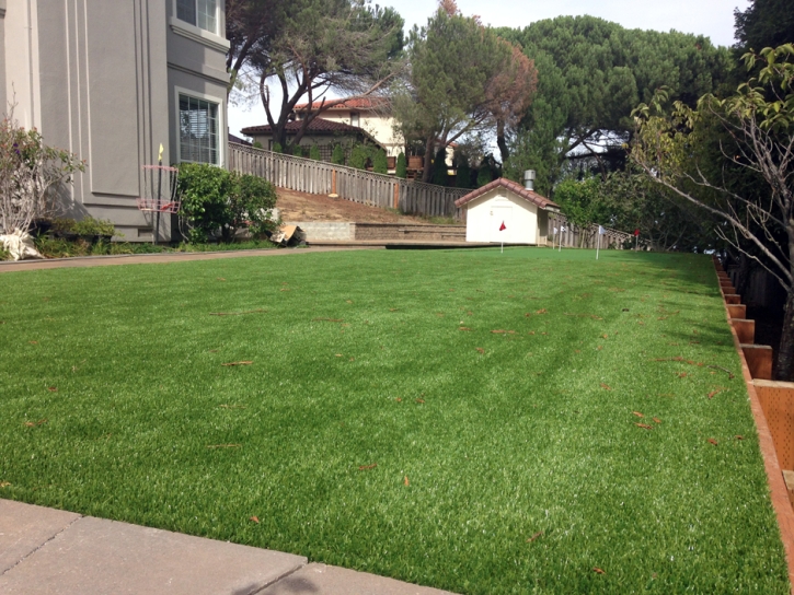 Fake Grass Carpet Chuichu, Arizona Putting Green, Backyard