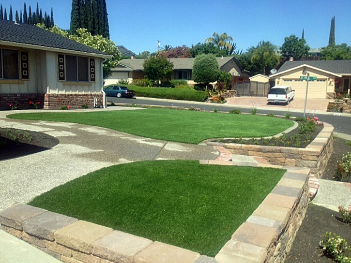 Fake Grass Carpet Cowlic, Arizona Lawn And Garden