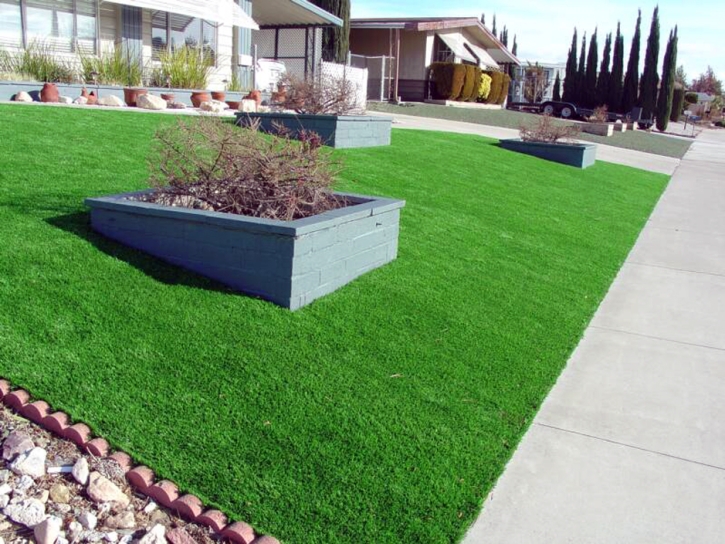 Fake Grass Carpet Pirtleville, Arizona City Landscape, Front Yard Design