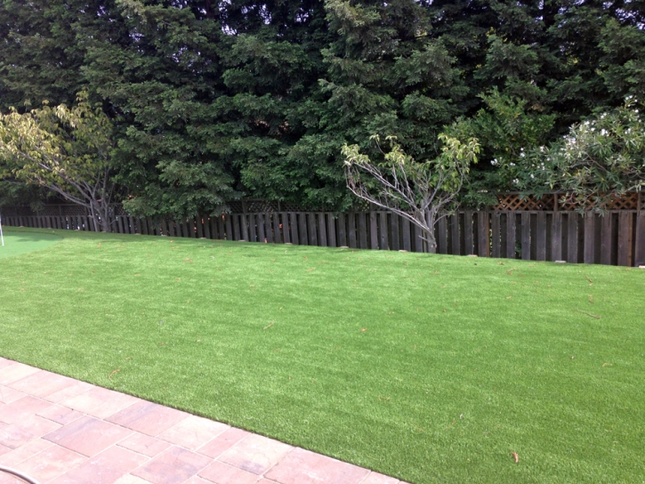 Fake Grass Carpet Rye, Arizona Lawns, Backyard Makeover