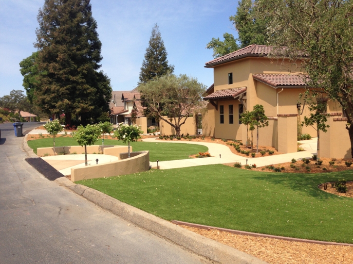 Fake Grass Carpet Tanque Verde, Arizona City Landscape, Front Yard Landscaping