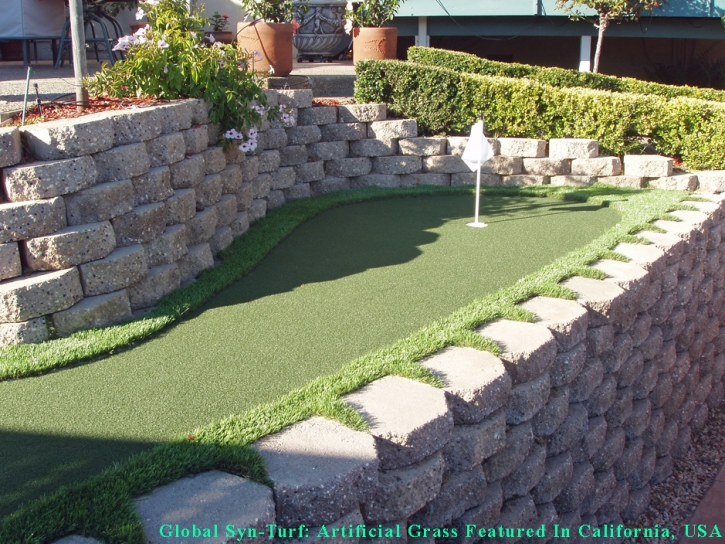 Fake Grass Carpet Tempe, Arizona Paver Patio, Backyard