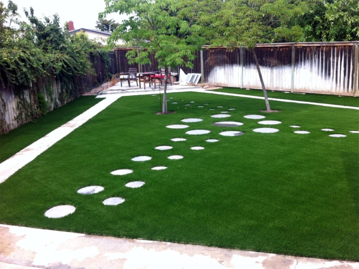 Fake Grass Carpet Wenden, Arizona Home And Garden, Backyards