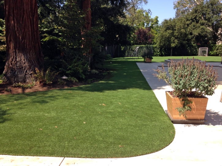 Fake Grass Clay Springs, Arizona City Landscape, Front Yard Landscaping Ideas