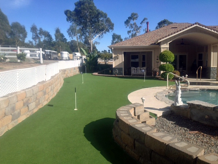 Fake Grass Fort Apache, Arizona Landscape Ideas, Small Backyard Ideas