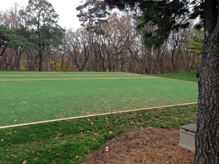 Fake Grass Heber-Overgaard, Arizona Garden Ideas