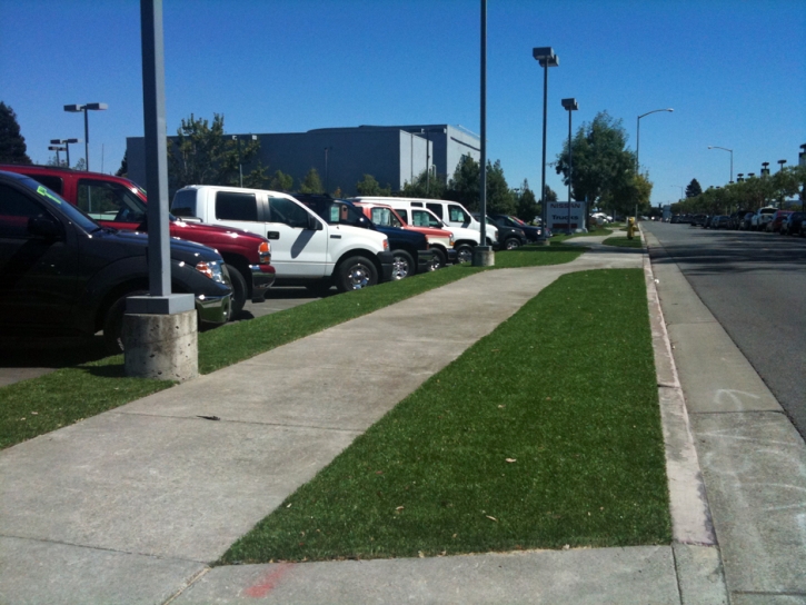 Fake Grass Jakes Corner, Arizona Garden Ideas, Commercial Landscape