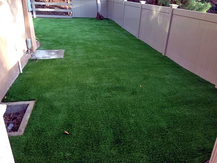 Fake Grass Kino Springs, Arizona Hotel For Dogs, Backyard Landscape Ideas