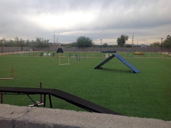 Fake Grass Lupton, Arizona Backyard Sports, Parks