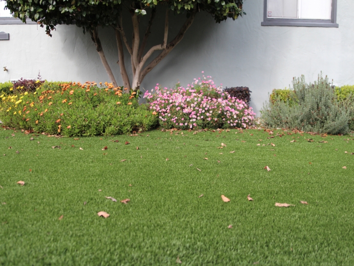 Fake Grass Peoria, Arizona Gardeners, Front Yard Design