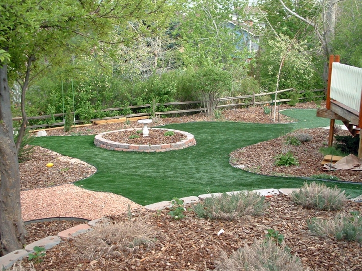 Fake Grass Steamboat, Arizona Lawn And Landscape, Backyard Landscape Ideas