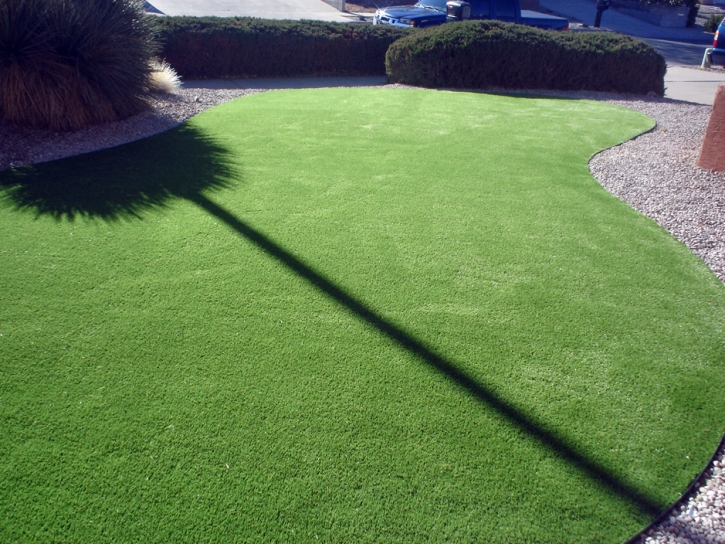 Fake Lawn Bryce, Arizona Backyard Playground, Front Yard Design