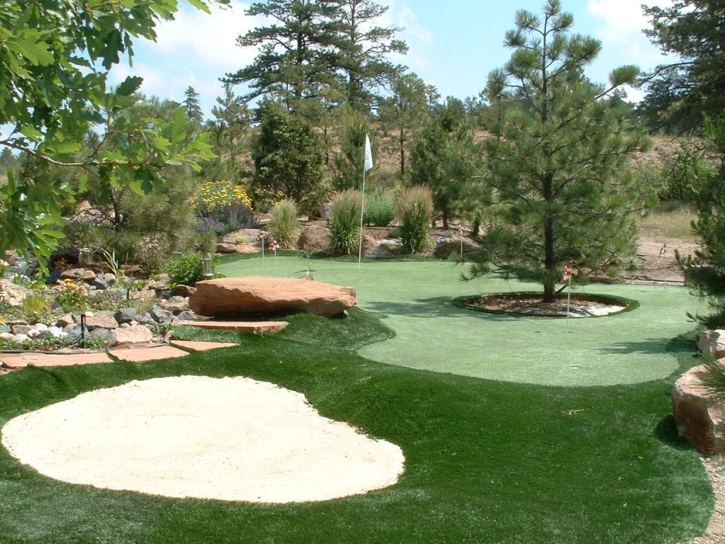 Fake Lawn Casa Blanca, Arizona Gardeners, Backyard