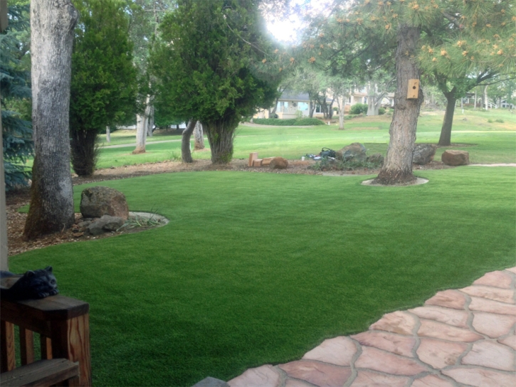 Fake Lawn Fort Thomas, Arizona City Landscape, Front Yard Landscaping Ideas