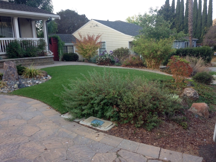 Fake Lawn Haivana Nakya, Arizona Roof Top, Front Yard Landscaping Ideas