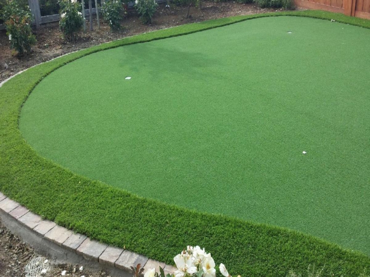 Fake Lawn Hotevilla-Bacavi, Arizona Putting Greens, Backyard Landscaping Ideas