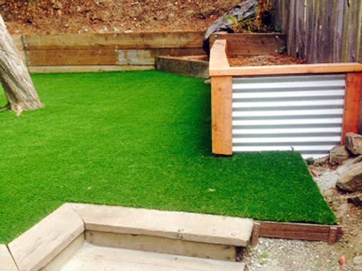 Fake Lawn Nazlini, Arizona Landscape Ideas, Backyard Ideas