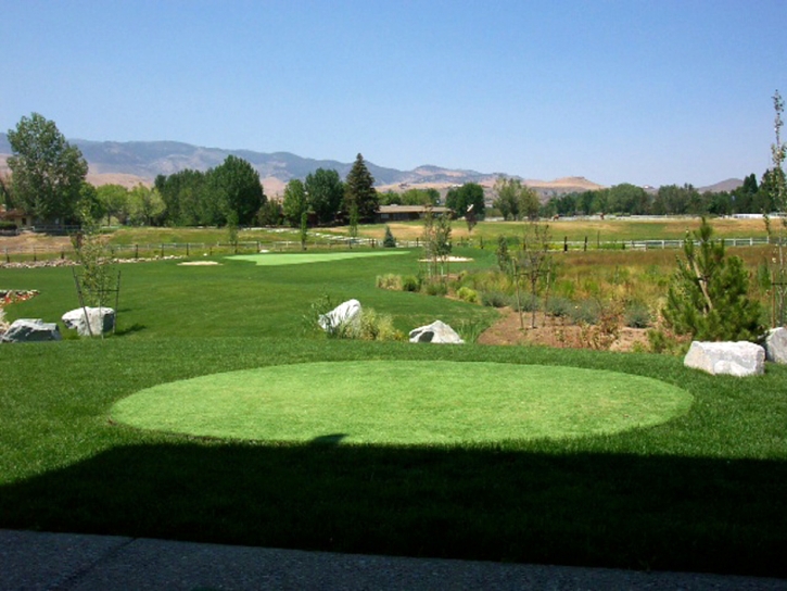 Fake Lawn Page, Arizona Landscaping, Beautiful Backyards