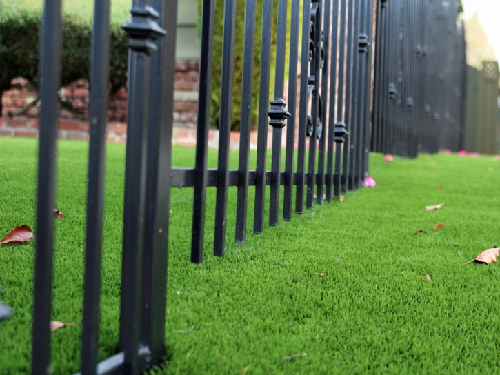 Fake Lawn Sanders, Arizona Landscape Photos, Front Yard