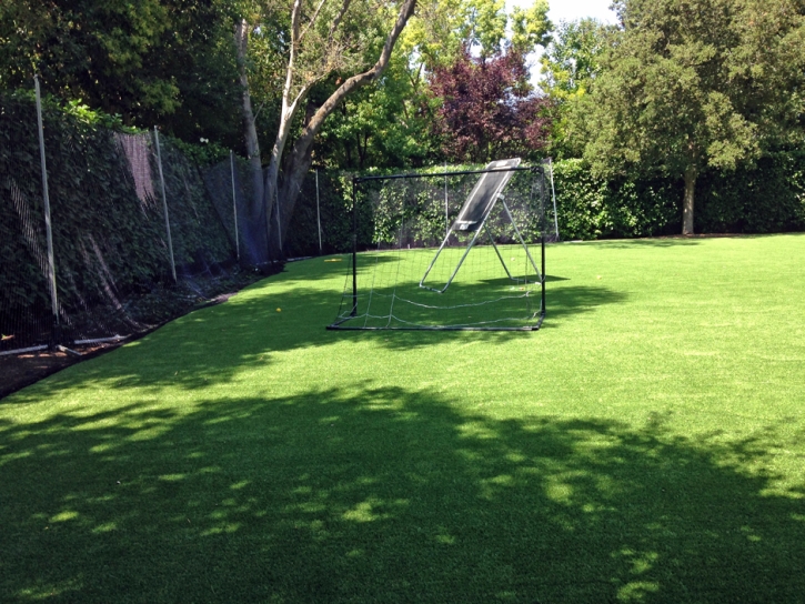 Fake Lawn Sierra Vista Southeast, Arizona Lawn And Garden, Backyard Ideas