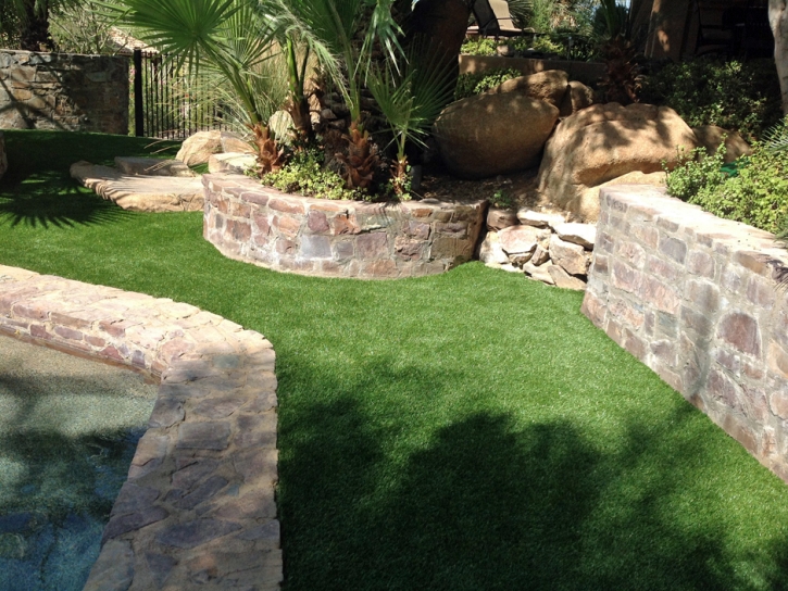 Fake Lawn Vaiva Vo, Arizona Watch Dogs, Small Backyard Ideas