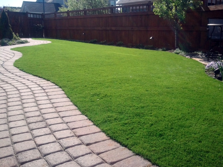 Fake Lawn Ventana, Arizona Landscaping, Backyard Design