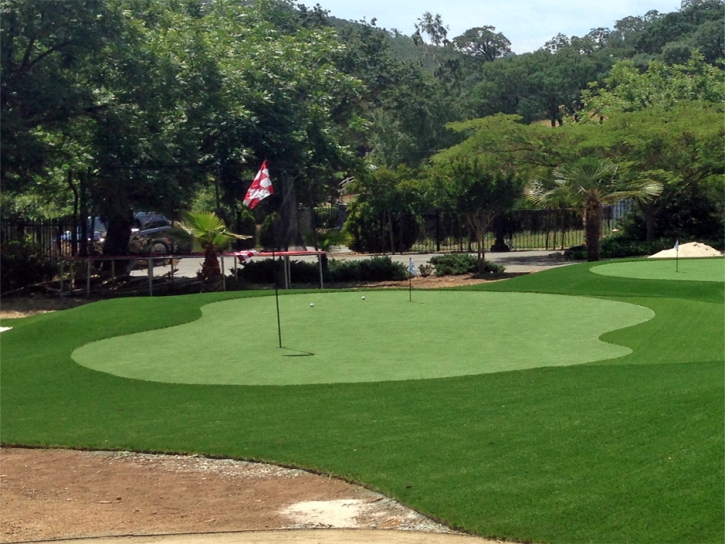 Fake Lawn White Hills, Arizona Landscaping Business, Front Yard Design