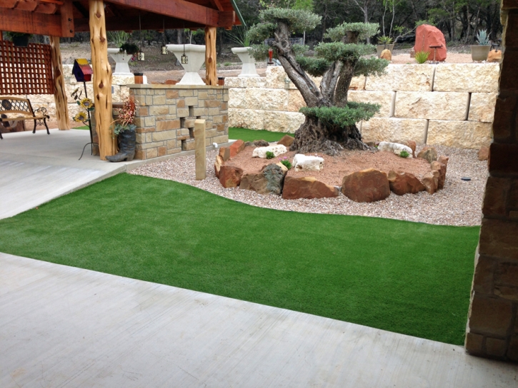 Fake Turf Katherine, Arizona Design Ideas, Backyard Landscaping