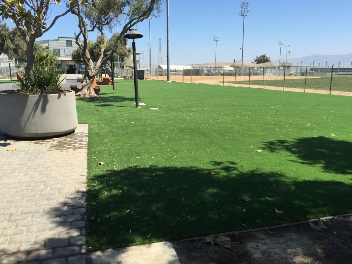 Fake Turf Mayer, Arizona Landscaping Business, Parks