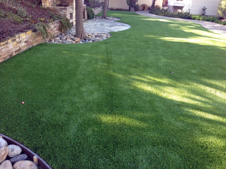 Fake Turf Oracle, Arizona Rooftop, Backyard Landscaping Ideas