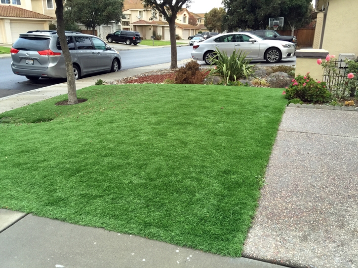 Fake Turf Sierra Vista, Arizona Lawn And Landscape, Landscaping Ideas For Front Yard