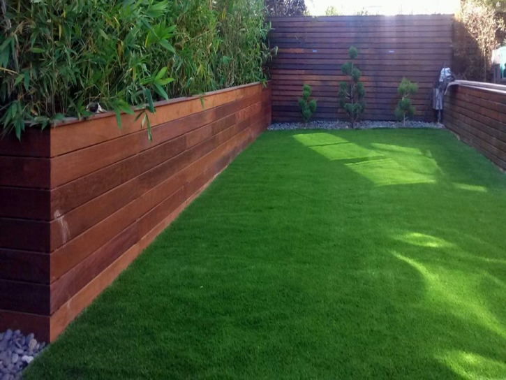 Fake Turf Sonoita, Arizona Lawns, Backyard Landscape Ideas