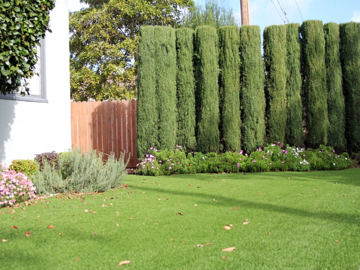 Faux Grass Alpine, Arizona Rooftop, Landscaping Ideas For Front Yard