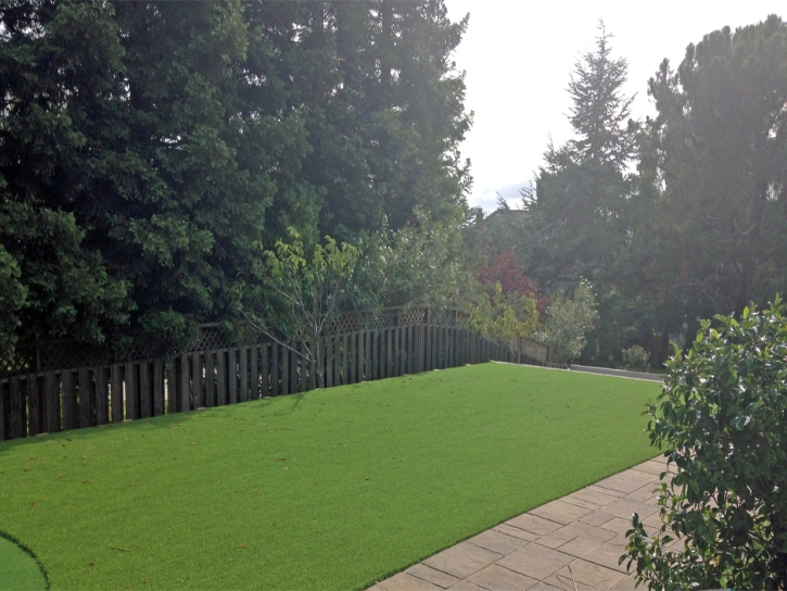 Faux Grass Cactus Forest, Arizona Backyard Playground, Backyard Landscaping