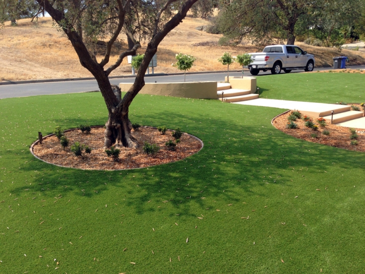 Faux Grass First Mesa, Arizona Landscape Design, Small Front Yard Landscaping